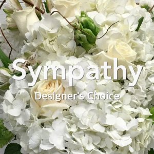 Sympathy Designer's Choice Arrangement (image for) Sympathy Designer's Choice Arrangement
